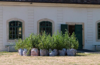 Finissage von „Von dem, was trägt“ im Gärtnerhaus Eisenstadt